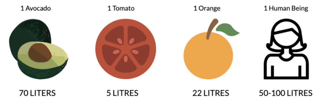 A comparison on the amount of water (in litres) required by different organisms.