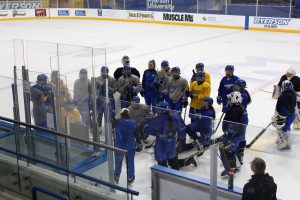 Females fighting their way into hockey