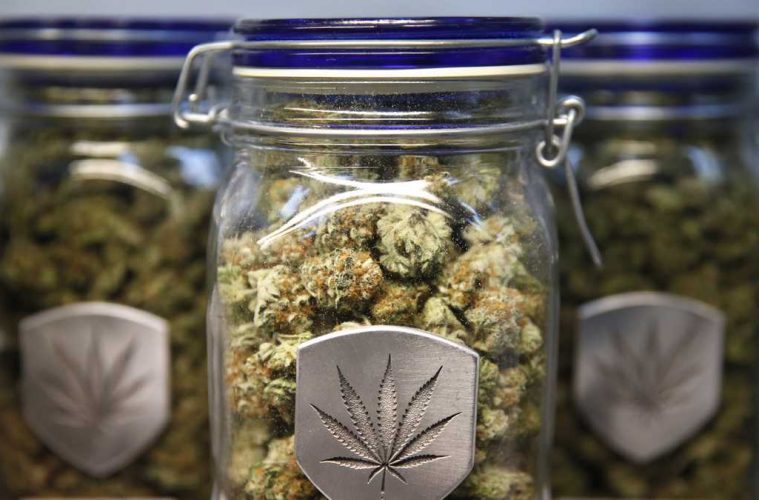Pardon me: Charges still laid for marijuana despite incoming legalization