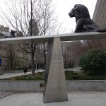 BREAKING: Toronto witnesses give contradictory testimonies in illegal drug-related trial