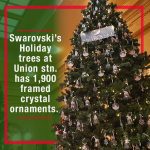 Where to find the best Christmas trees in Downtown Toronto