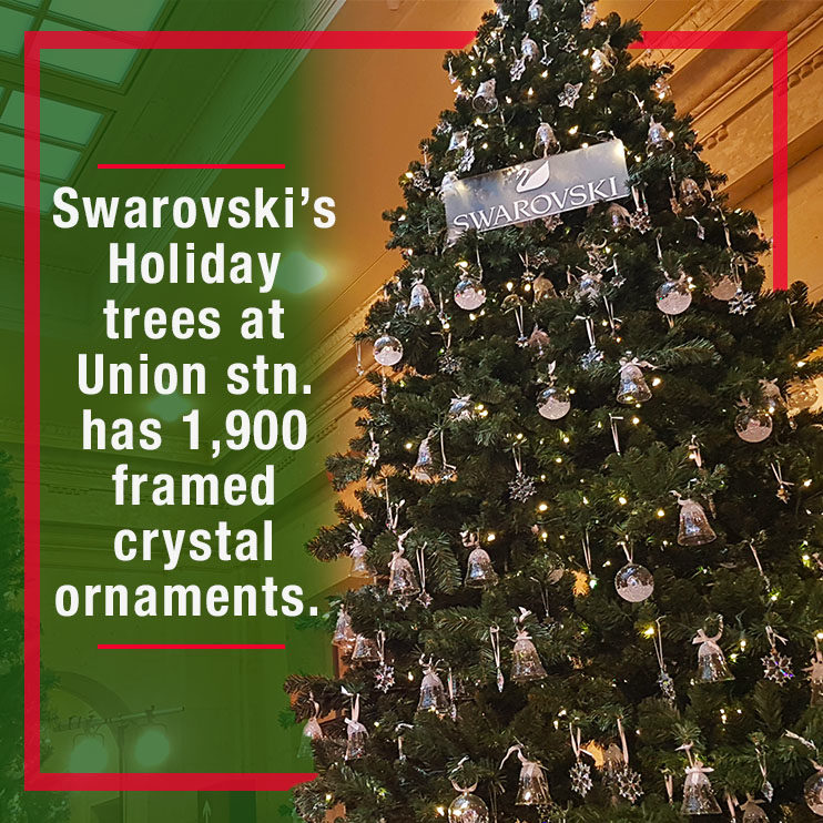 Where to find the best Christmas trees in Downtown Toronto
