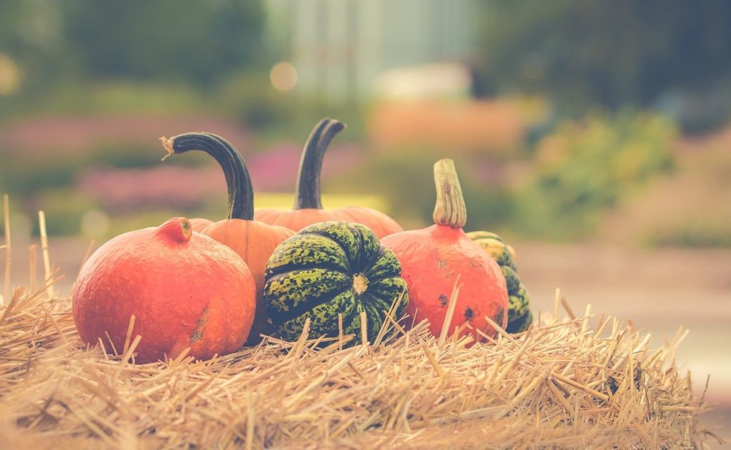 Health experts say to avoid trick-or-treating this year