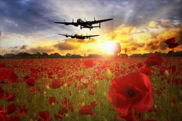 The Canadian Warplane Heritage Museum Adapts to COVID-19 Restrictions