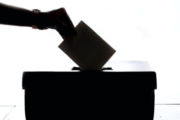 The US Election: Debunking Voter Fraud Claims