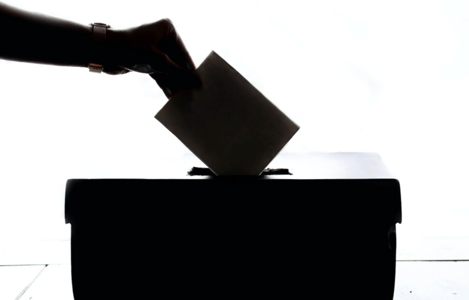 The US Election: Debunking Voter Fraud Claims