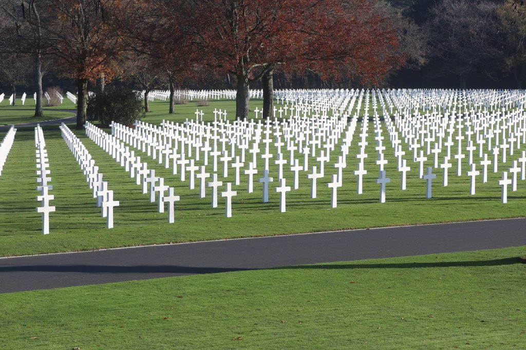 Interactive: Remembrance Day quiz