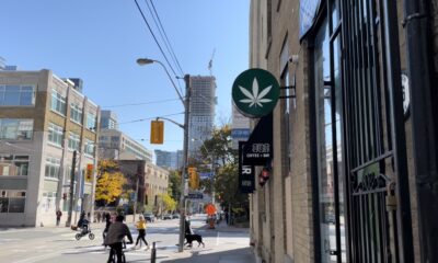 cannabis store with its logo in the middle of the road